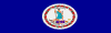 Service to Virginia Ribbon - (1st)
