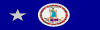 Service to Virginia Ribbon - (2nd)