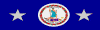 Service to Virginia Ribbon - (3rd)