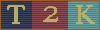 Tenessee River Campaign 2000 Tournament Ribbon