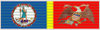 Victor's Ribbon