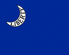 Moultrie Flag