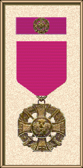 Combat Badge