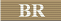 HPS Bull Run Ribbon