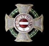 Grand Cross Breast Star w/oak leaves: This Order is awarded to an officer for achieving 5 Austrian Victories.
